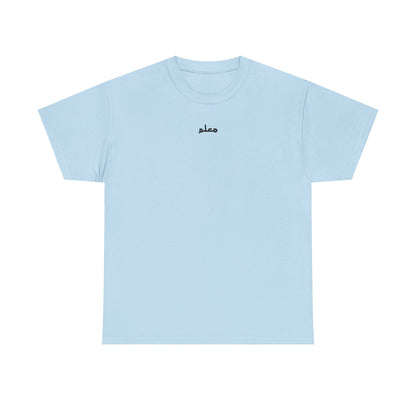 Arabic 101 Maalem Unisex Tee